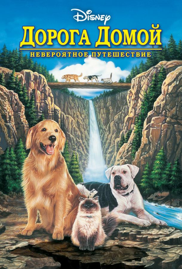 Фильм Дорога домой: Невероятное путешествие (1993) смотреть онлайн в хорошем качестве